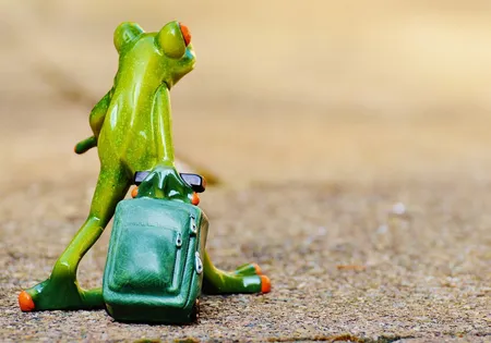 Toy frog with a suitcase