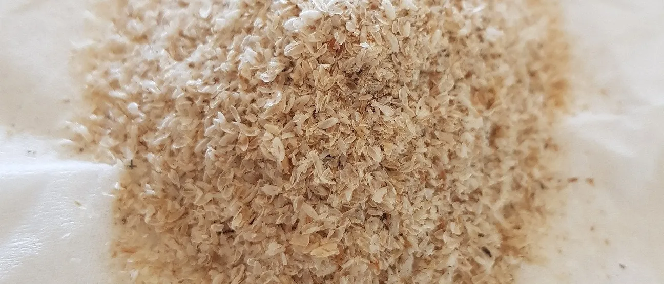 Le psyllium dans le pain sans gluten : à quoi ça sert et comment l'utiliser ?