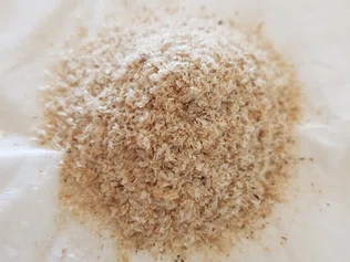 Psyllium